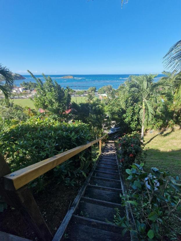 Hotel Le Manguier Morne Pavillon المظهر الخارجي الصورة