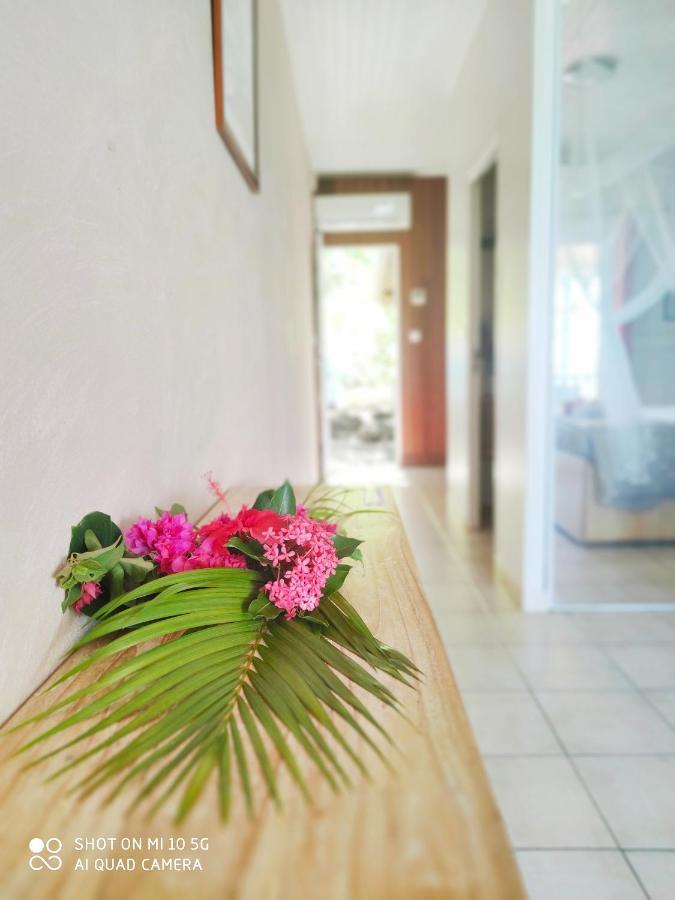 Hotel Le Manguier Morne Pavillon المظهر الخارجي الصورة