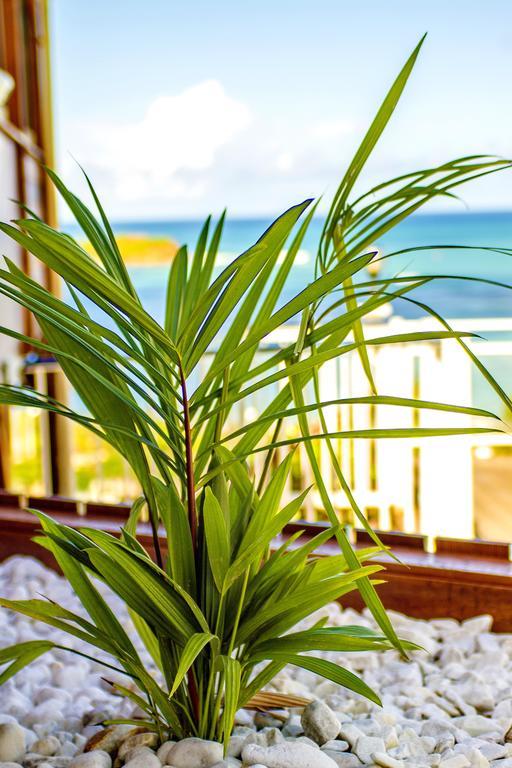 Hotel Le Manguier Morne Pavillon المظهر الخارجي الصورة